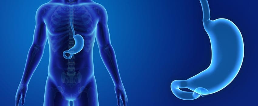 Gastric Sleeve Izmir Clinics – Affordable Packages with Full Support