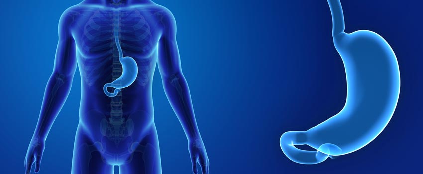 Gastric Sleeve Izmir Clinics – Affordable Packages with Full Support